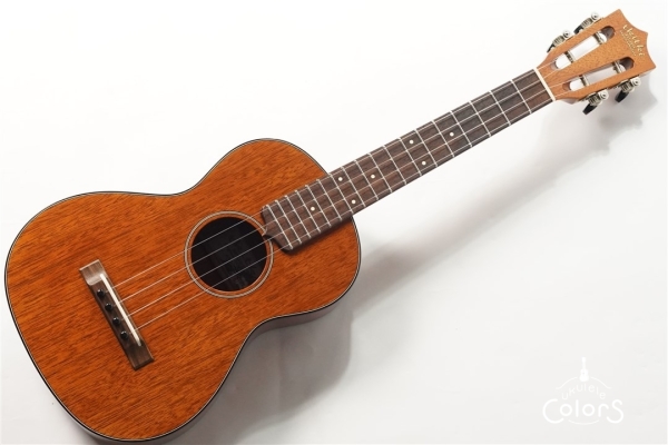 HM-T Custom